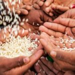 World Food Security Day: Addressing global hunger with a focus on Pakistan